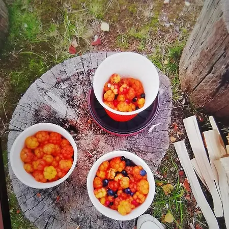 Paradise Holiday Prázdninový dům Kongsfjord